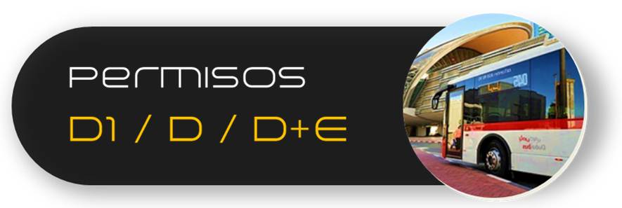 Carnet autobus Autoescuela Roda